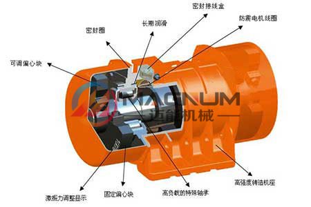 振動(dòng)篩電機(jī)結(jié)構(gòu)圖